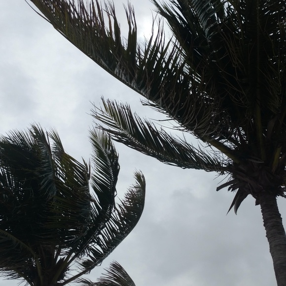 Meet your Posher, Ashley - Picture 1 of 1